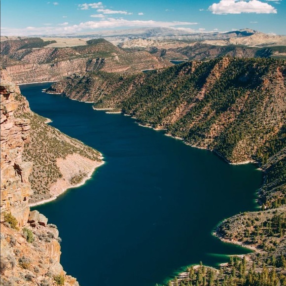 Other - • Holden •